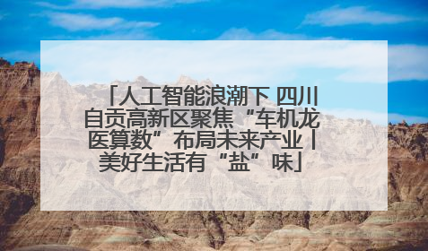 人工智能浪潮下 四川自贡高新区聚焦“车机龙医算数”布局未来产业丨美好生活有“盐”味