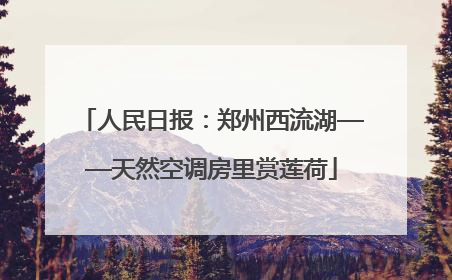 人民日报：郑州西流湖——天然空调房里赏莲荷