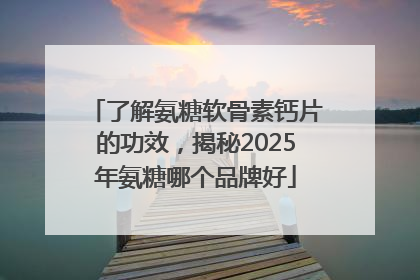 了解氨糖软骨素钙片的功效，揭秘2025年氨糖哪个品牌好