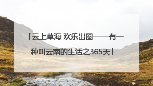 云上草海 欢乐出圈——有一种叫云南的生活之365天