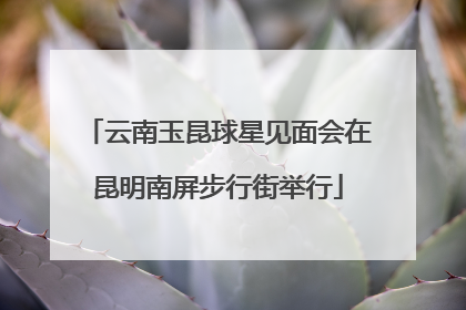 云南玉昆球星见面会在昆明南屏步行街举行