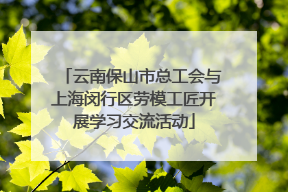 云南保山市总工会与上海闵行区劳模工匠开展学习交流活动