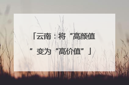 云南：将“高颜值”变为“高价值”