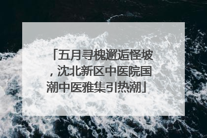 五月寻槐邂逅怪坡，沈北新区中医院国潮中医雅集引热潮
