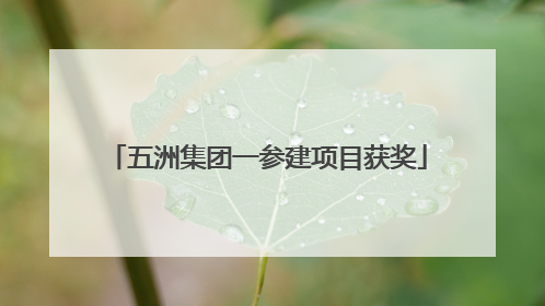 五洲集团一参建项目获奖
