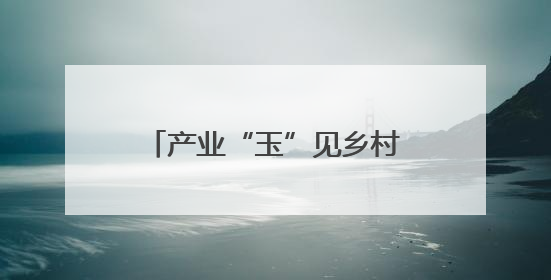 产业“玉”见乡村，振兴开启新篇