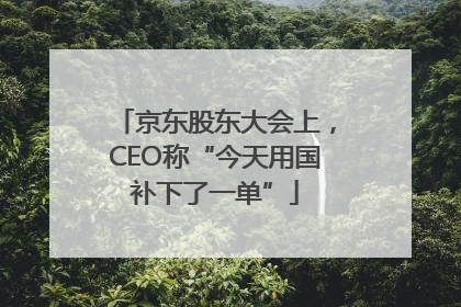 京东股东大会上，CEO称“今天用国补下了一单”
