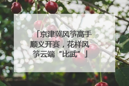 京津冀风筝高手顺义开赛，花样风筝云端“比武”