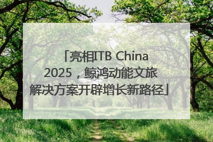 亮相ITB China 2025，鲸鸿动能文旅解决方案开辟增长新路径