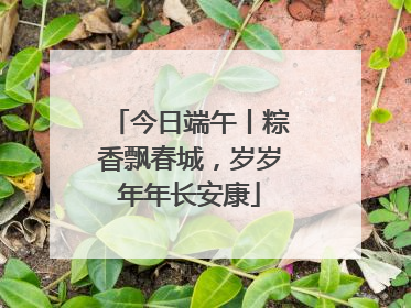 今日端午丨粽香飘春城，岁岁年年长安康