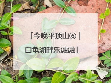 今晚平顶山⑥｜白龟湖畔乐融融