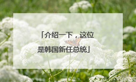 介绍一下，这位是韩国新任总统