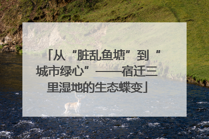 从“脏乱鱼塘”到“城市绿心”——宿迁三里湿地的生态蝶变