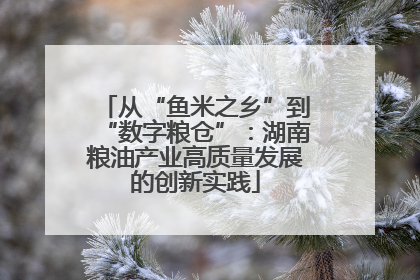 从“鱼米之乡”到“数字粮仓”：湖南粮油产业高质量发展的创新实践