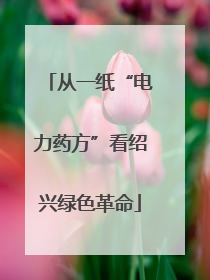 从一纸“电力药方”看绍兴绿色革命