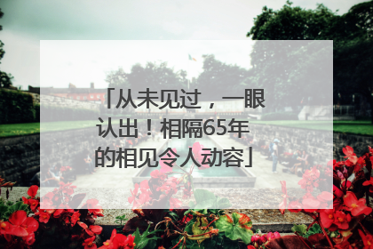 从未见过,一眼认出!相隔65年的相见令人动容