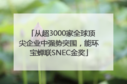 从超3000家全球顶尖企业中强势突围，能环宝蝉联SNEC金奖