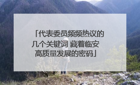 代表委员频频热议的几个关键词 藏着临安高质量发展的密码