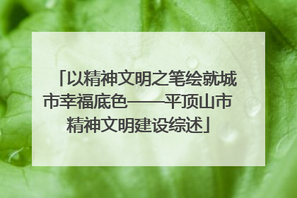 以精神文明之笔绘就城市幸福底色——平顶山市精神文明建设综述