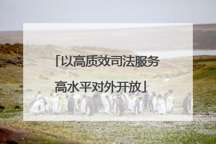 以高质效司法服务高水平对外开放