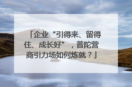 企业“引得来、留得住、成长好”，普陀营商引力场如何炼就？