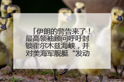 伊朗的警告来了！最高领袖顾问呼吁封锁霍尔木兹海峡，并对美海军舰艇“发动导弹袭击”