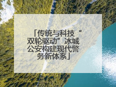传统与科技“双轮驱动”冰城公安构建现代警务新体系
