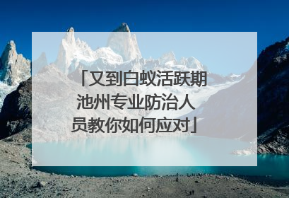又到白蚁活跃期 池州专业防治人员教你如何应对