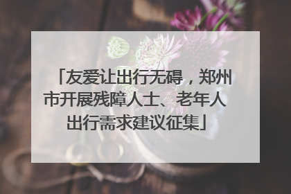 友爱让出行无碍，郑州市开展残障人士、老年人出行需求建议征集