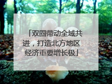 双圈带动全域共进，打造北方地区经济重要增长极