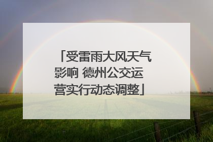 受雷雨大风天气影响 德州公交运营实行动态调整