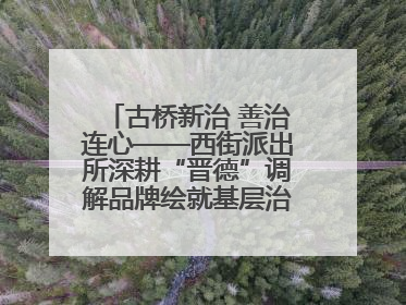 古桥新治 善治连心——西街派出所深耕“晋德”调解品牌绘就基层治理新画卷