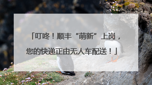 叮咚！顺丰“萌新”上岗，您的快递正由无人车配送！