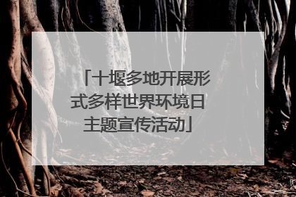 十堰多地开展形式多样世界环境日主题宣传活动