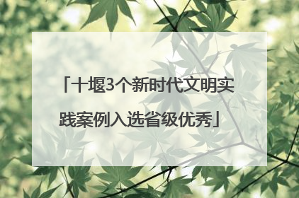 十堰3个新时代文明实践案例入选省级优秀