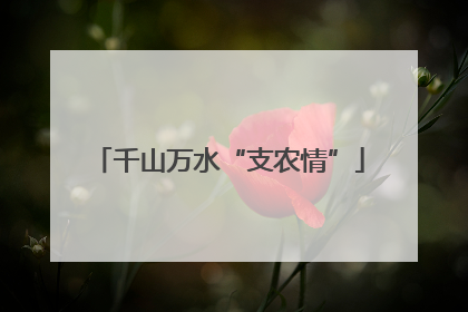 千山万水“支农情”