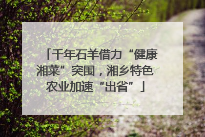 千年石羊借力“健康湘菜”突围，湘乡特色农业加速“出省”