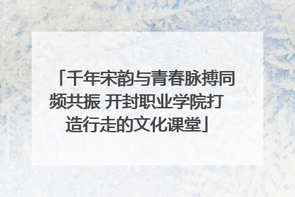 千年宋韵与青春脉搏同频共振 开封职业学院打造行走的文化课堂