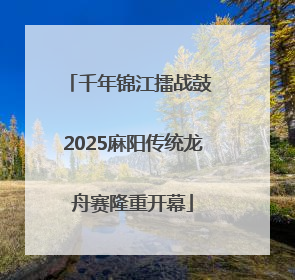 千年锦江擂战鼓 2025麻阳传统龙舟赛隆重开幕