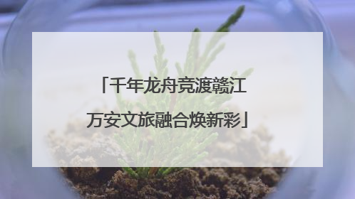 千年龙舟竞渡赣江 万安文旅融合焕新彩