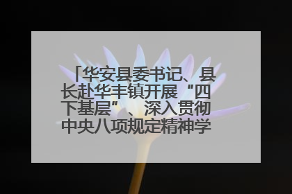 华安县委书记、县长赴华丰镇开展“四下基层”、深入贯彻中央八项规定精神学习教育工作调研
