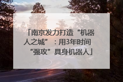 南京发力打造“机器人之城”：用3年时间“强攻”具身机器人
