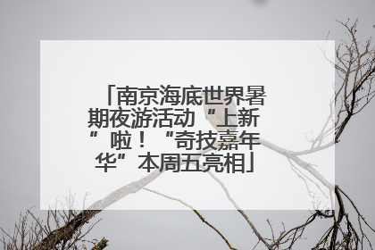 南京海底世界暑期夜游活动“上新”啦！“奇技嘉年华”本周五亮相