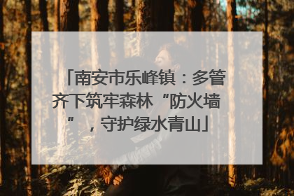 南安市乐峰镇：多管齐下筑牢森林“防火墙”，守护绿水青山