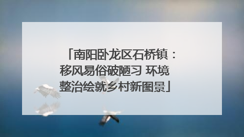 南阳卧龙区石桥镇：移风易俗破陋习 环境整治绘就乡村新图景