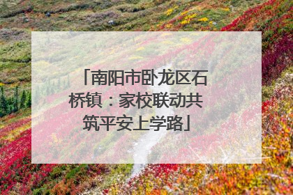 南阳市卧龙区石桥镇：家校联动共筑平安上学路