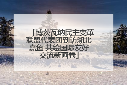 博茨瓦纳民主变革联盟代表团到访湖北嘉鱼 共绘国际友好交流新画卷
