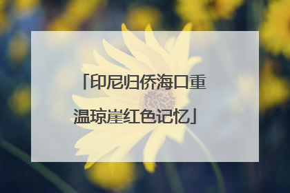 印尼归侨海口重温琼崖红色记忆