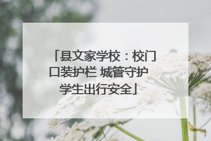 县文家学校：校门口装护栏 城管守护学生出行安全