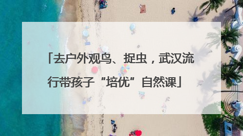 去户外观鸟、捉虫，武汉流行带孩子“培优”自然课